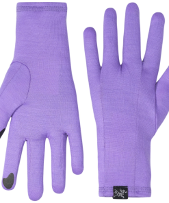 Arcteryx GOTHIC GLOVE Dk Aster rokavice Unisex