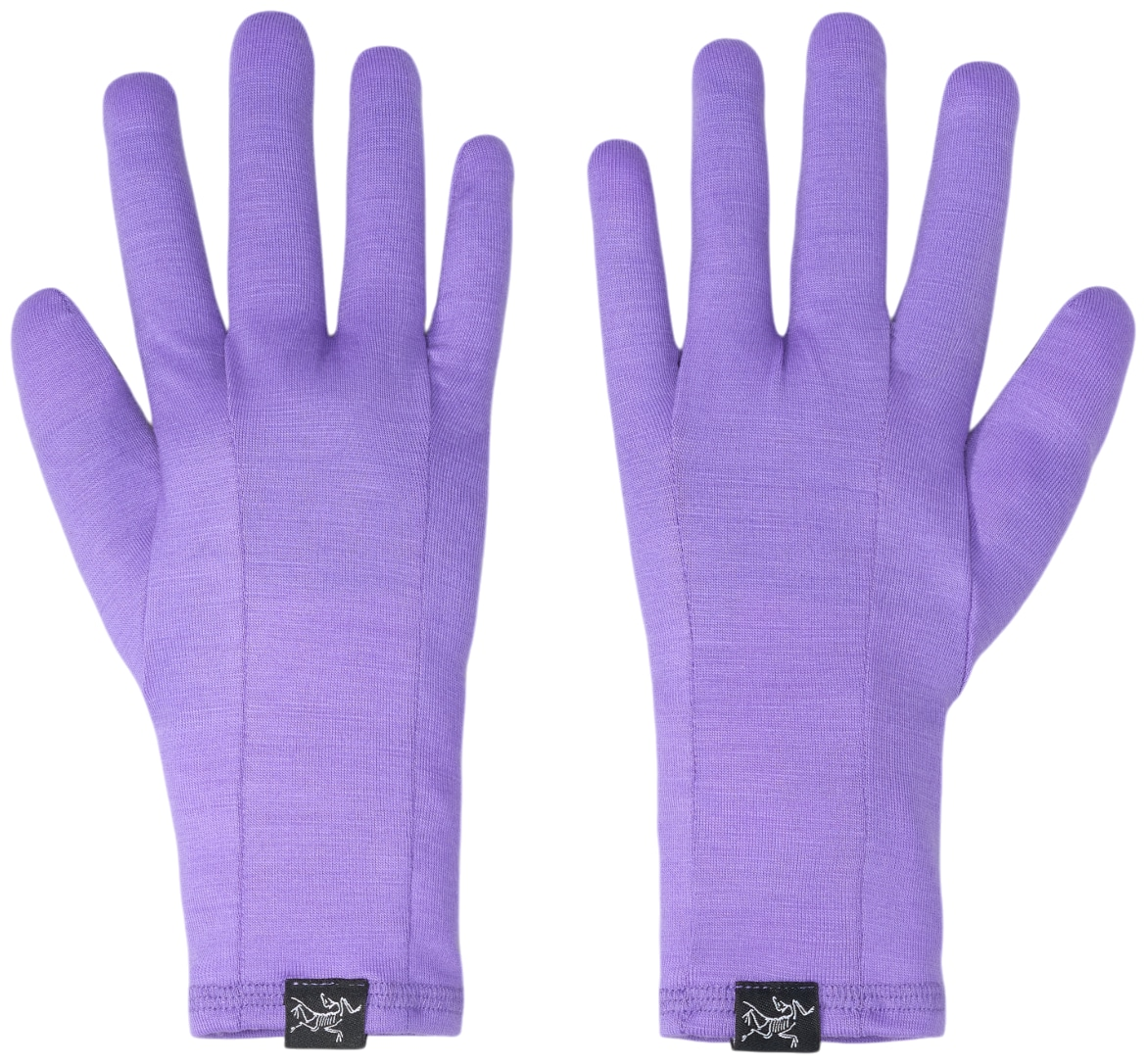 Arcteryx GOTHIC GLOVE Dk Aster rokavice Unisex - slika 3