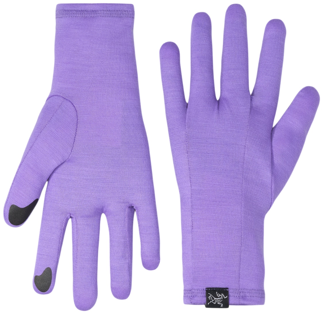 Arcteryx GOTHIC GLOVE Dk Aster rokavice Unisex