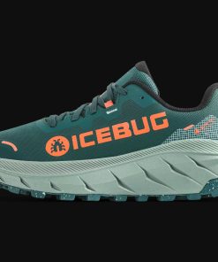 Icebug ARCUS2 RB9X® GTX SeaMoss W's